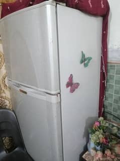 dawlonce refrigerator large  size 5.10ft