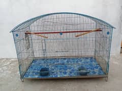 Birds cage