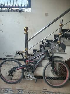 Best cycle with shocks and suspension