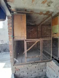 raw cage for sale