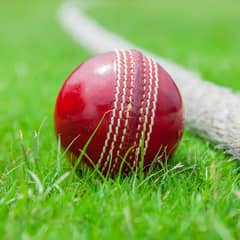cricket hard boll 100%orignal best Quality watsapp 03162519997