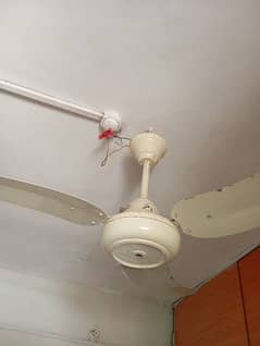 GFC ceiling fan