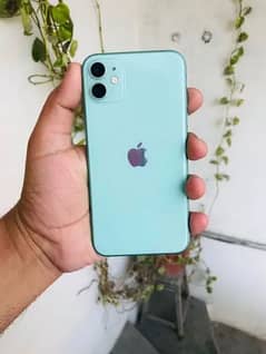 iphone 11 jv green color