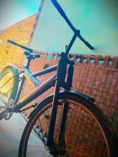 bycycle cycle phonix cycle