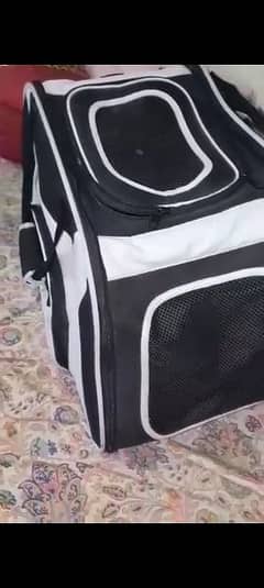 big size cat and dog carrier
