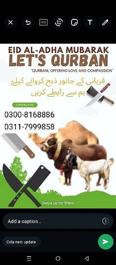 Qasai (Butcher) Available for Eid UL Adha