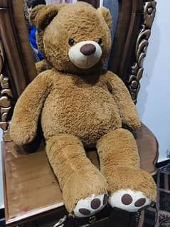 Bigg Teddy bear brown
