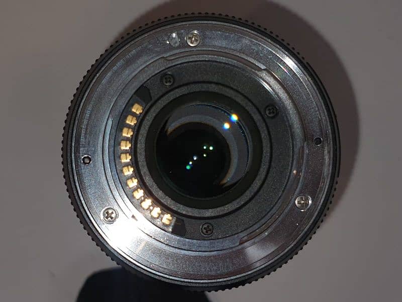 Olympus E-PL5 & Lumix OIS 45-175 mm lens 6