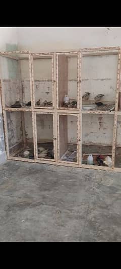 6x6 Cages for Sale. .