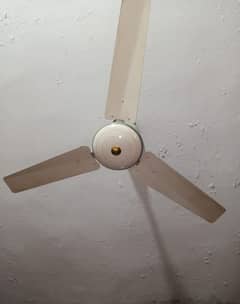 TeleStar fan king size in good condition