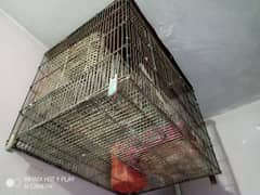Huge Cage For Sale only for u in just 7k