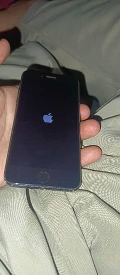 iPhone 7 PTA approved 128gb
