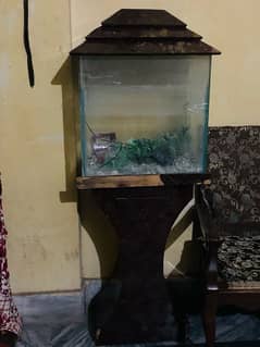 fish box