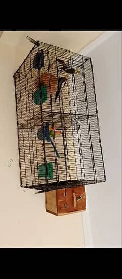 cocktail pair love bird pair with cage box dolly 03319522802 2 pair
