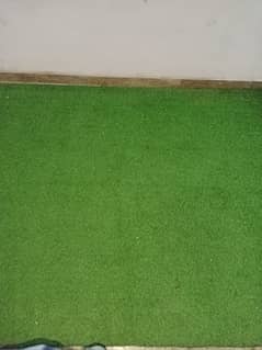 grass carpet