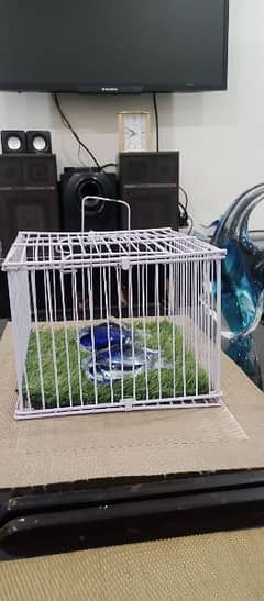 Small Carrier cage