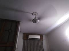 3 ceiling fans