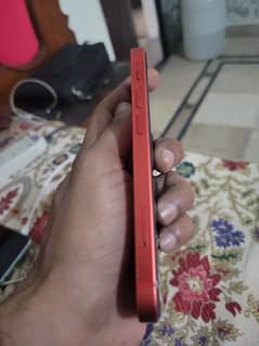 Iphone 12 mini non pta.