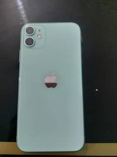 iphone 11 (green colour)