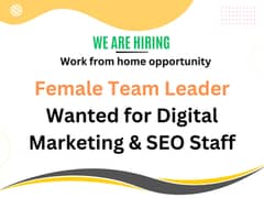 Female Digital Marketing & SEO Expert / Team Leader/work from home