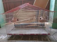 Birds colony cage for sale