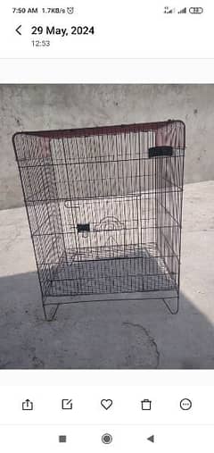 cage 3800