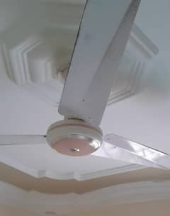 indus ceiling fan 56 inch copper