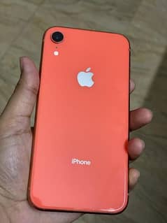 Iphone XR 128gb Pta approved