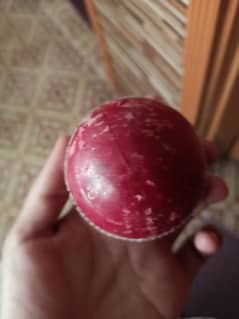 Cricket leather ball