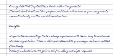 a professional handwriter to make your assignment on time