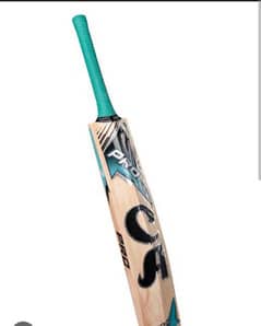 CA pro 2000 cricket hard ball bat