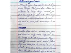 Handwriting assignment work