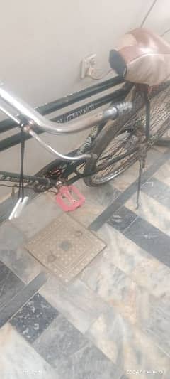 tik tok bicycle stand