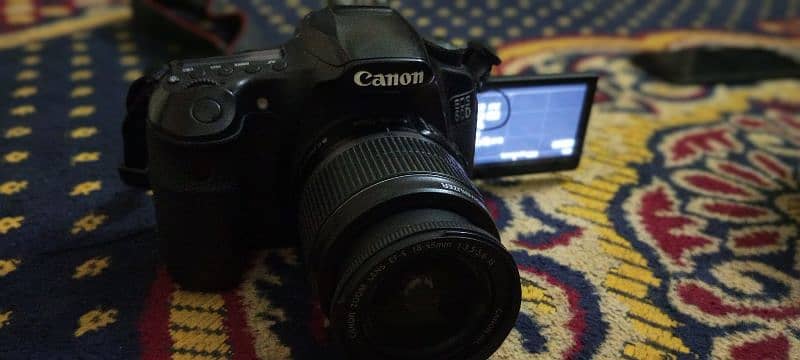 Canon 60D With all accessories + Portrait Lens 1