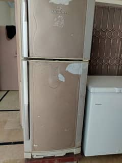 use Dawlance full size refrigerator 100%working condition