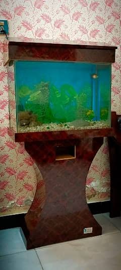 Fish Aquarium (02 ft)