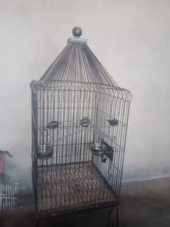 heavy iron cage 20 kg ek month usd