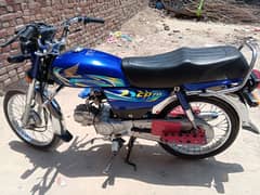 Honda CD 70cc 2023×24 APL