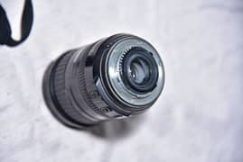 Nikon 18-200 mm lense