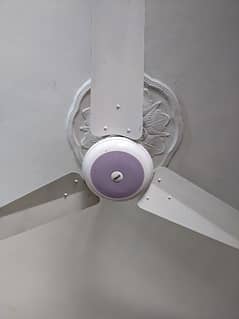 Polo Ceiling Fan Almost New Very Little Used