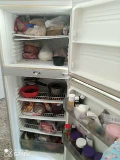 pel  fridge