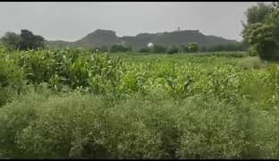Agriculture Land Available For Sale
Compact