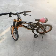 Kids Bicycle For Sale