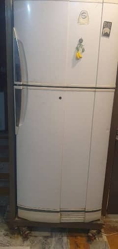 PEL FRIDGE FOR SALE