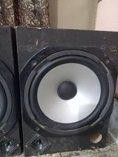 12 inch Woofers Pair Bt Amplifier Builtin