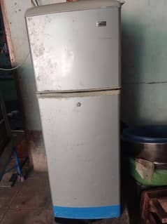 Nestle chiller and Mini fridge