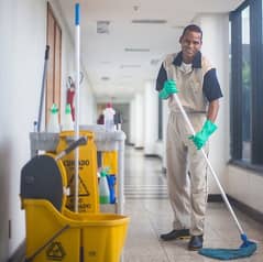 Sweeper / Cleaner