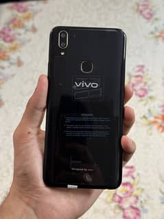 Vivo