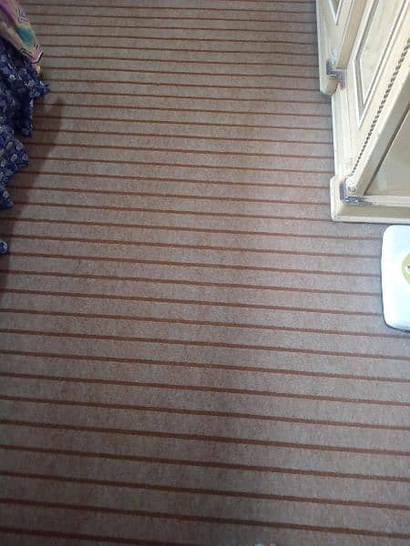 1 year used carpet 0