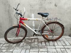 cosmo bike